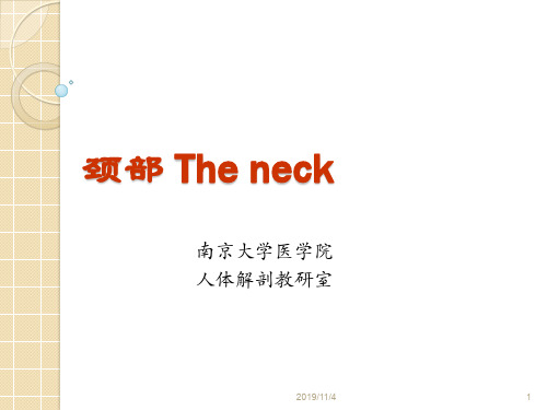 颈部的神经和血管