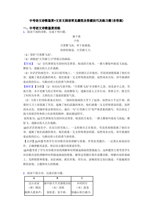 中考语文诗歌鉴赏+文言文阅读常见题型及答题技巧及练习题(含答案)