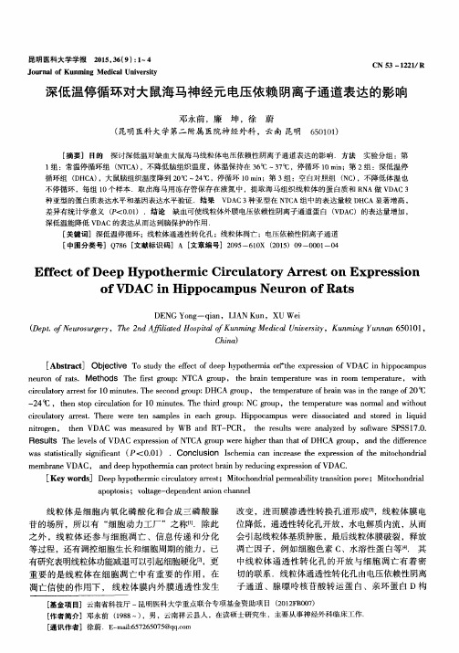 深低温停循环对大鼠海马神经元电压依赖阴离子通道表达的影响
