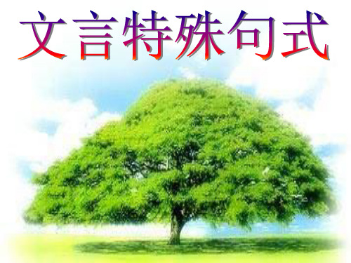 高考复习文言文特殊句式ppt4