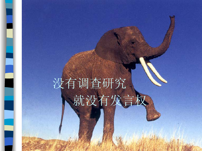 第4章 市场营销调查(1)