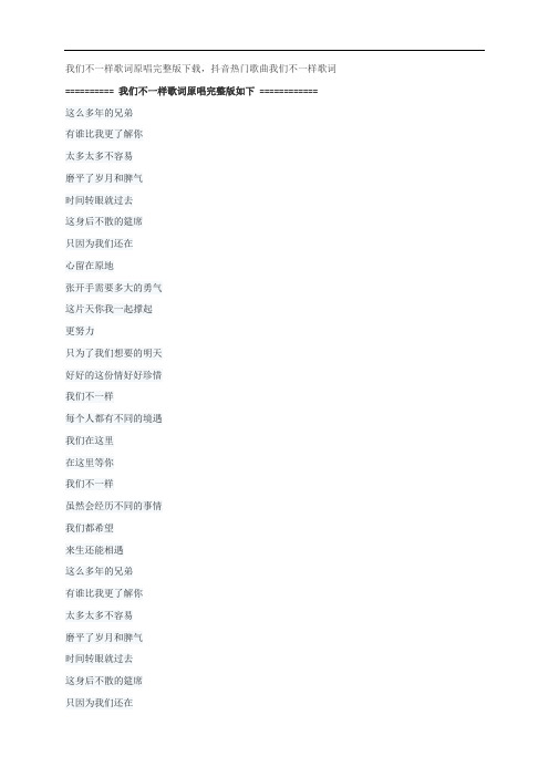 我们不一样歌词原唱完整版下载,大壮抖音热门歌曲我们不一样歌词