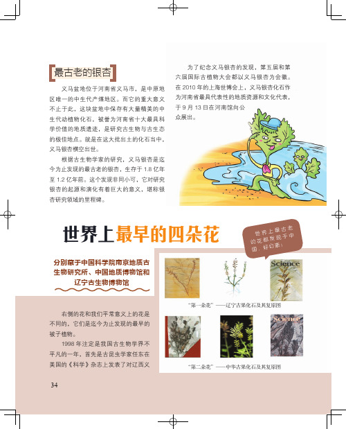 世界上最早的四朵花