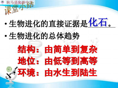 7.3.3 生物进化的原因 课件 人教版八年级生物下册