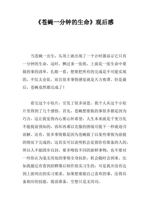 《苍蝇一分钟的生命》观后感