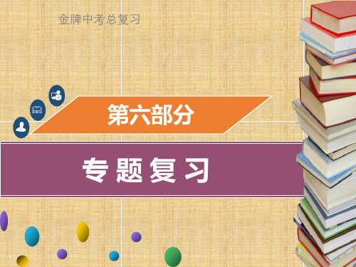 (金牌中考)广东省中考化学总复习 第六部分 专题复习 专题二 物质的推断与转化名师精编课件