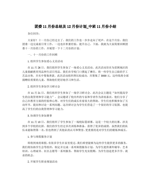团委11月份总结及12月份计划_中班11月份小结