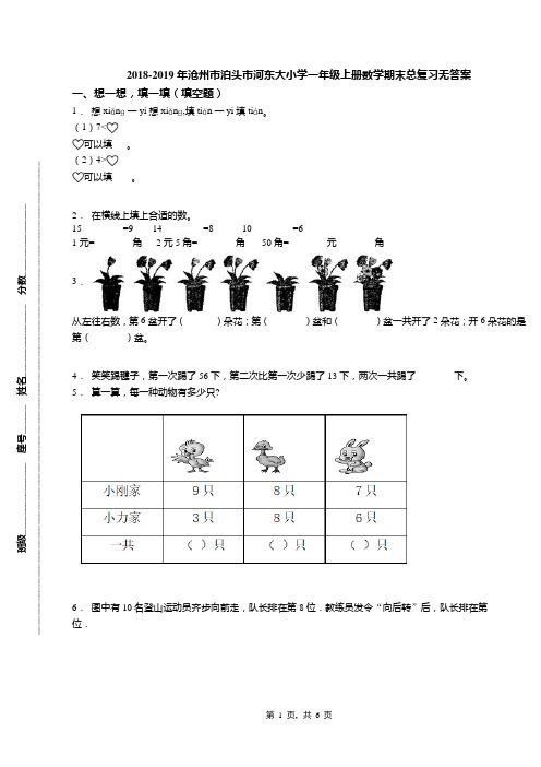 2018-2019年沧州市泊头市河东大小学一年级上册数学期末总复习无答案