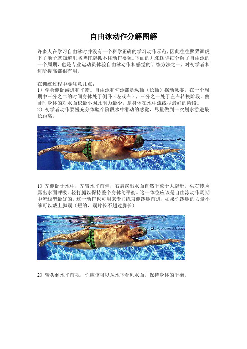 自由泳动作分解图解