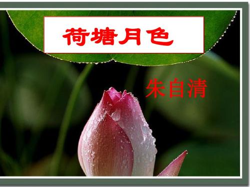 最新苏教版语文必修二课件：第四专题 荷塘月色(共64张PPT)