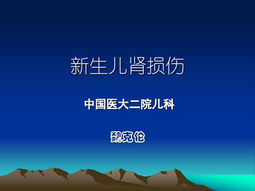 新生儿急性肾损伤