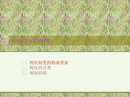 税收制度与税制结构.pptx