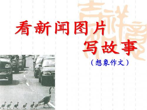 看新闻图片写故事