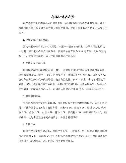 冬季让鸡多产蛋