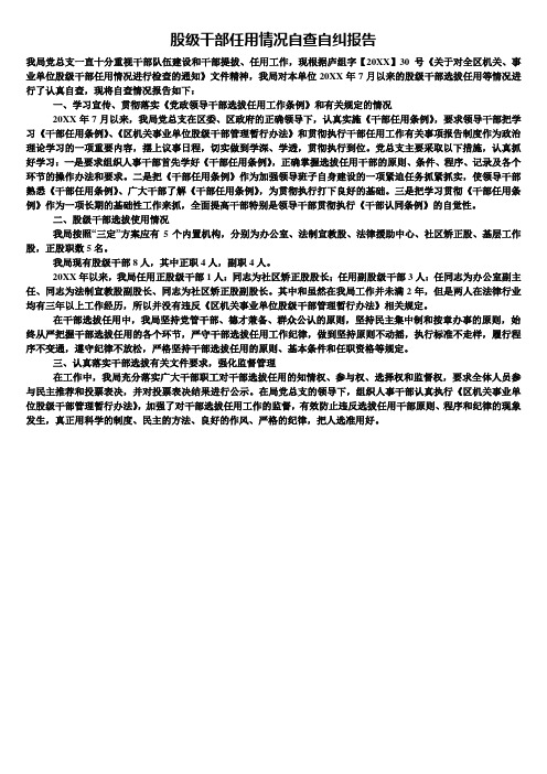 股级干部任用情况自查自纠报告