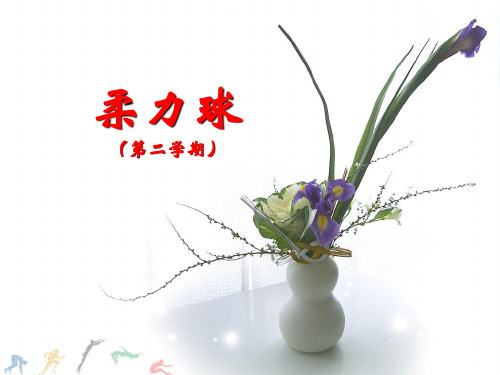 柔力球竞赛规则
