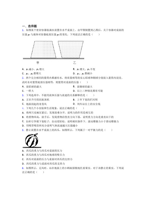 上海上海中学初中物理八年级下册期中检测卷(包含答案解析)