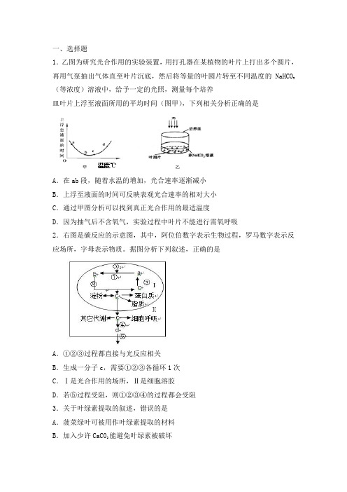 生物必修一第五章细胞的能量供应和利用【部分解析版,含答案】