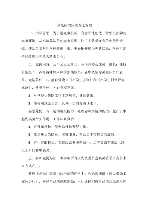 少先队大队委竞选方案