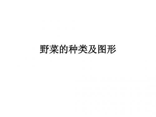 野菜的种类及图形Microsoft PowerPoint 演示文稿