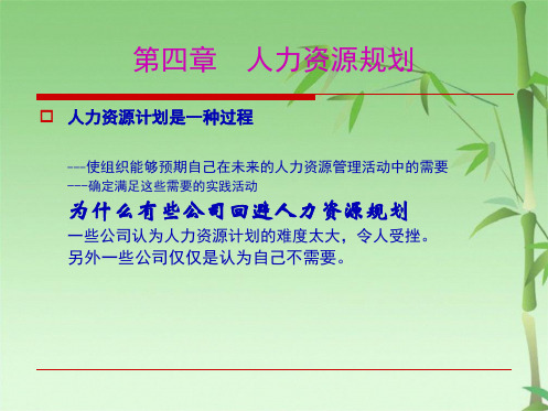 第四章 人力资源规划(共28张PPT)