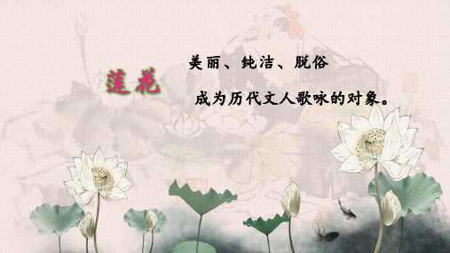 爱莲说优质课一等奖公开课获奖课件