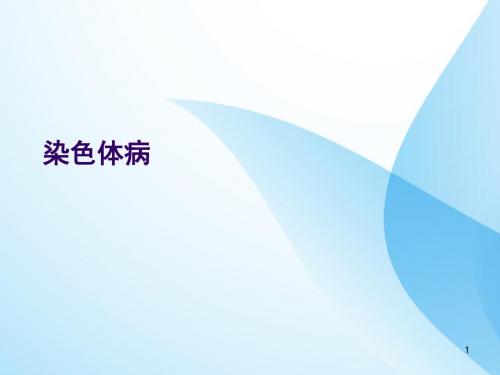 染色体病PPT课件