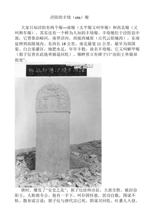 泾阳的丰埝ren塬