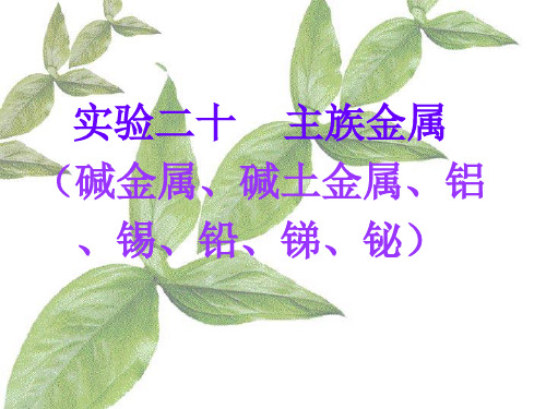 实验二十 主族金属(碱金属、碱土金属、铝、锡、铅、锑、铋