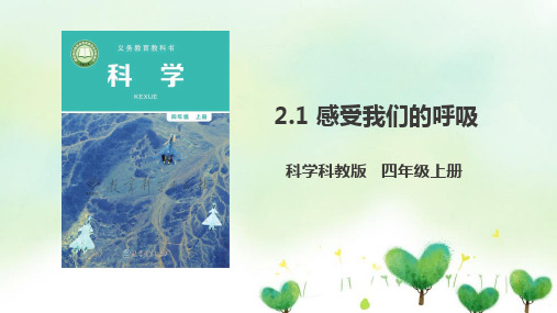 科学感受我们的呼吸课件教科版【四年级上册】