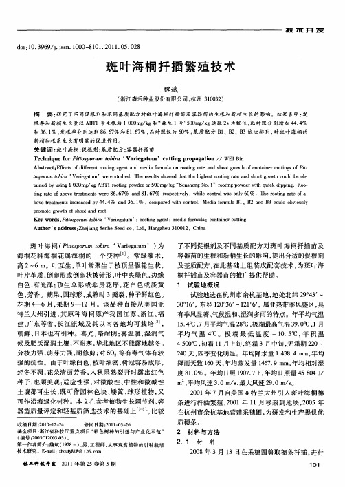 斑叶海桐扦插繁殖技术