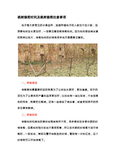 桃树修剪时间及桃树修剪注意事项