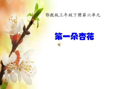 三年级下册语文《4 第一朵杏花》 鄂教版