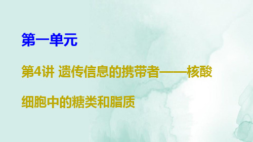 高三生物一轮复习精品课件3：第4讲 遗传信息的携带者——核酸 细胞中糖类和脂质