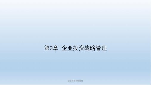 企业投资战略管理课件