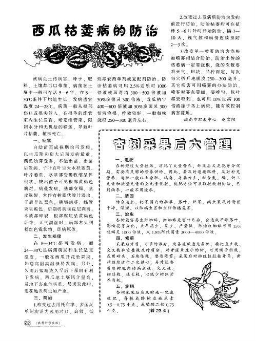 杏树采果后六管理