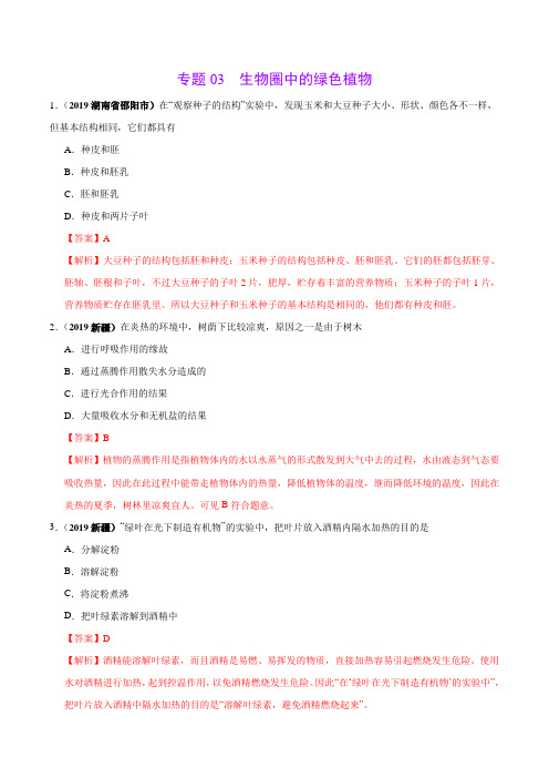 专题03 生物圈中的绿色植物(第01期)-2019年中考真题生物试题分类汇编(解析版)