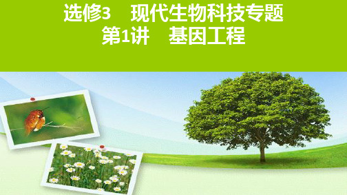 选修3基因工程ppt完美课件2021届高考生物一轮复习