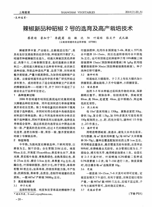 辣椒新品种昭椒2号的选育及高产栽培技术