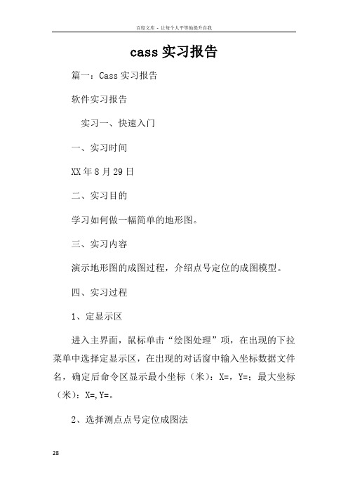 cass实习报告