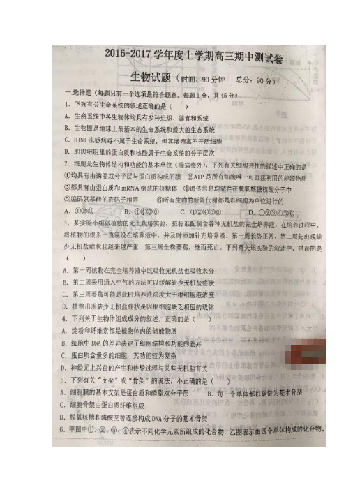 辽宁省盘锦市高级中学2017届高三上学期期中测试生物试题扫描版含答案