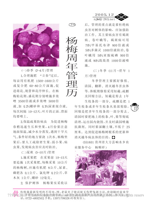 杨梅周年管理历