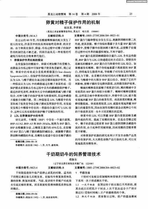 干奶期奶牛的饲养管理技术