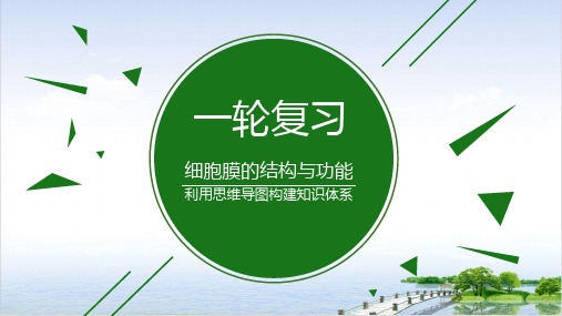 高考一轮复习《细胞膜的结构与功能》PPT课件(原文)