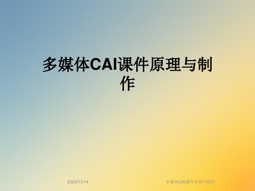 多媒体CAI课件原理与制作