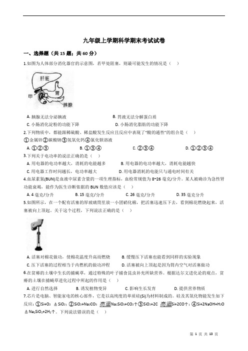 九年级上学期科学期末考试试卷