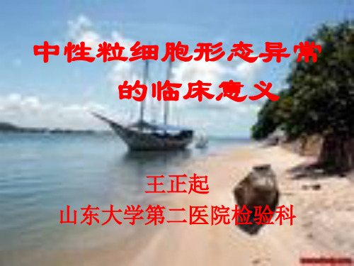 中性粒细胞形态异常的临床意义-王正起