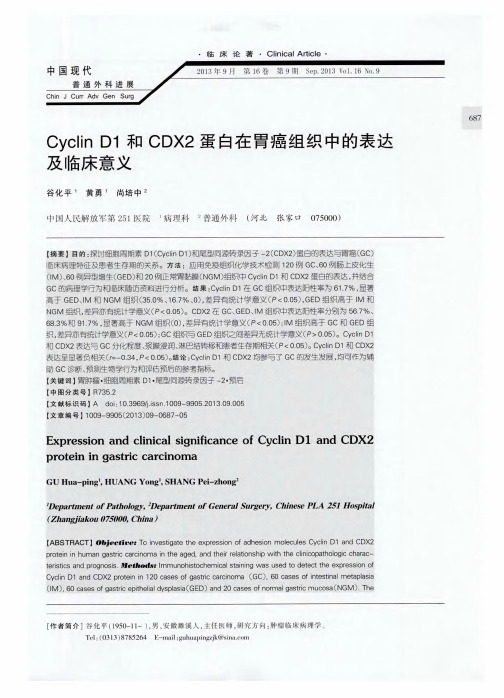 CyclinD1和CDX2蛋白在胃癌组织中的表达及临床意义