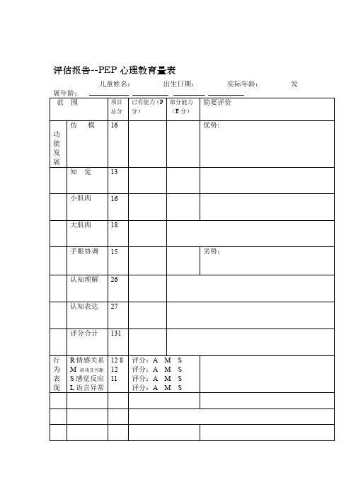 PEP 3孤独症儿童心理教育量表评估报告解析