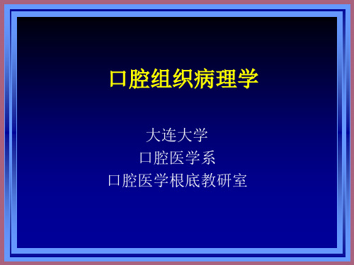 颌面部发育 ppt课件